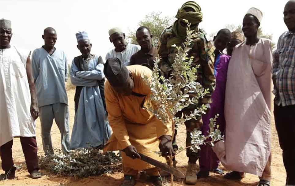 Championing Sustainable Agriculture in Niger