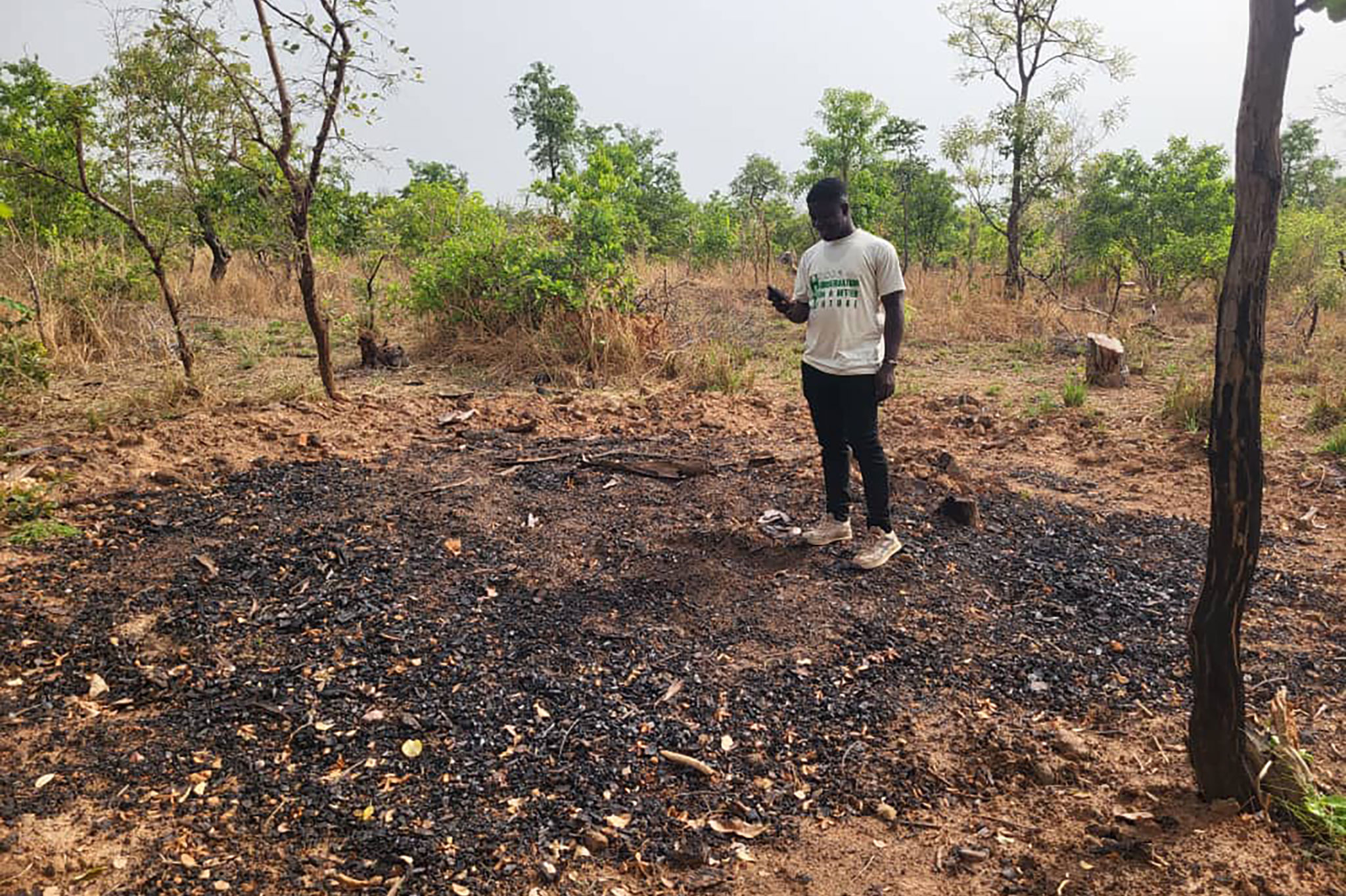 Project Partner using the GeoScape Mobile App to collect charcoal production site information. Photo: A. Rocha