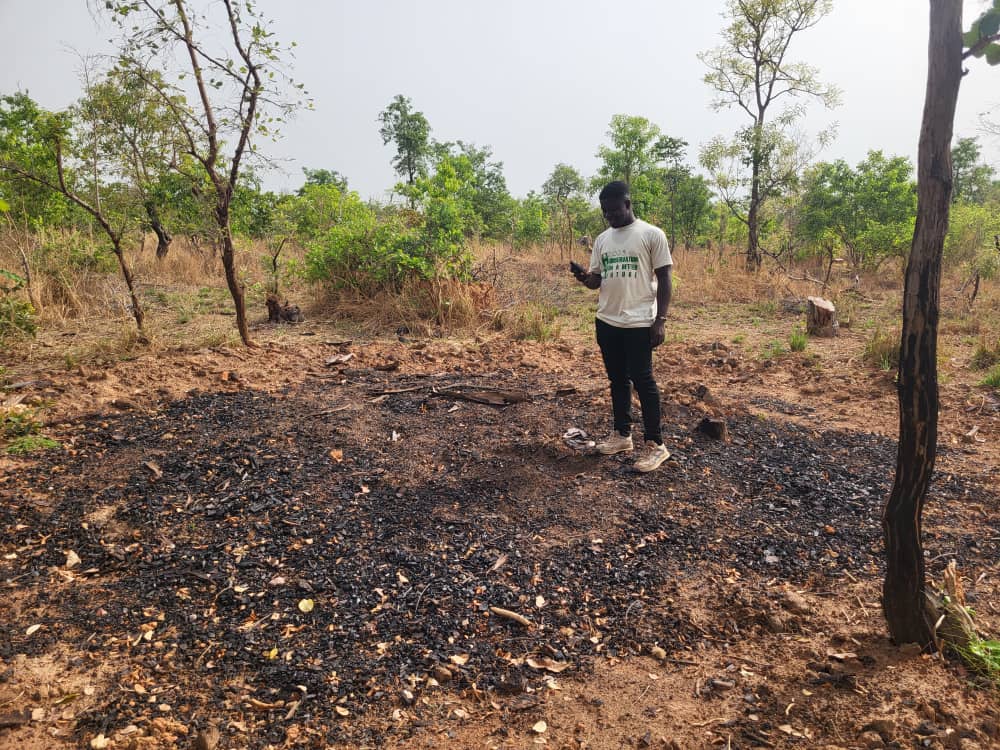 Project Partner using the GeoScape Mobile App to collect charcoal production site information. Photo: A. Rocha